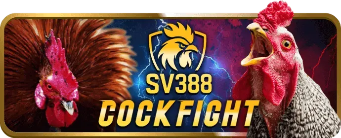 Đội ngũ hỗ trợ khách hàng chuyên nghiệp 24/7 của 988bet